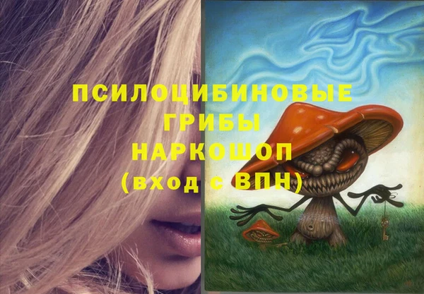 первитин Касимов