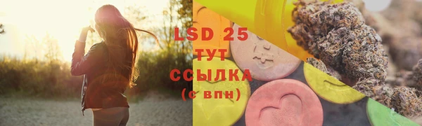 PSILOCYBIN Карталы