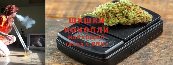 стаф Карпинск