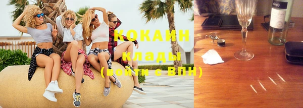 стаф Карпинск