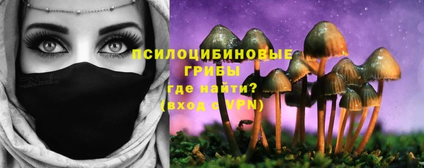 первитин Касимов