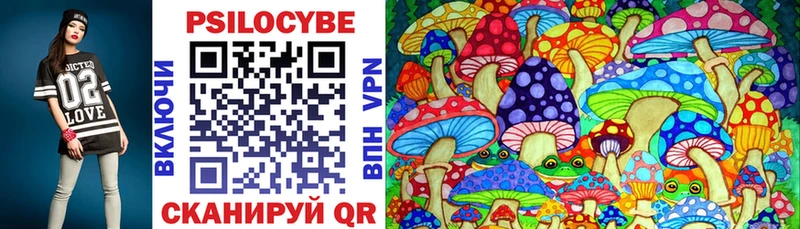 Псилоцибиновые грибы Cubensis  Тбилисская 